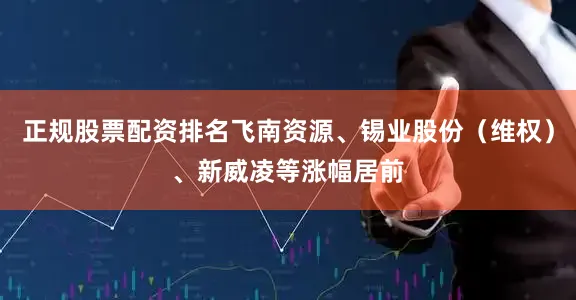 正规股票配资排名飞南资源、锡业股份（维权）、新威凌等涨幅居前
